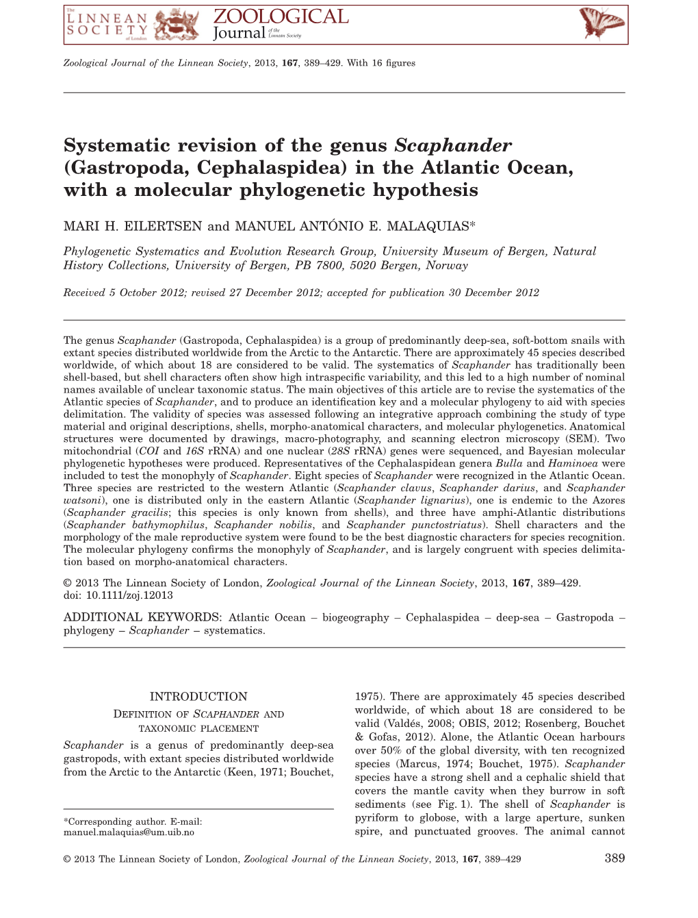 Systematic Revision of the Genus Scaphander (Gastropoda, Cephalaspidea) in the Atlantic Ocean, with a Molecular Phylogenetic Hypothesis