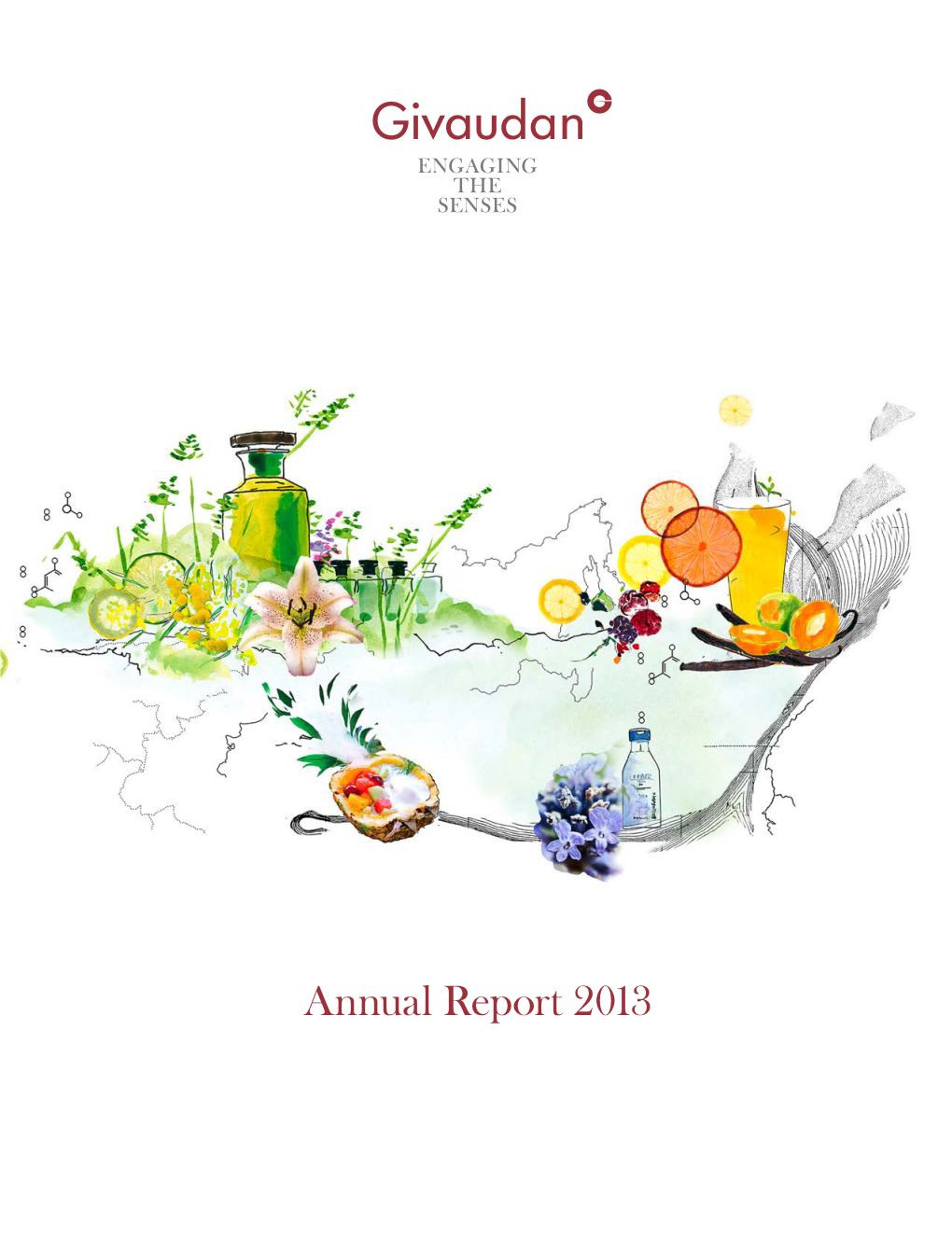 Annual Report 2013