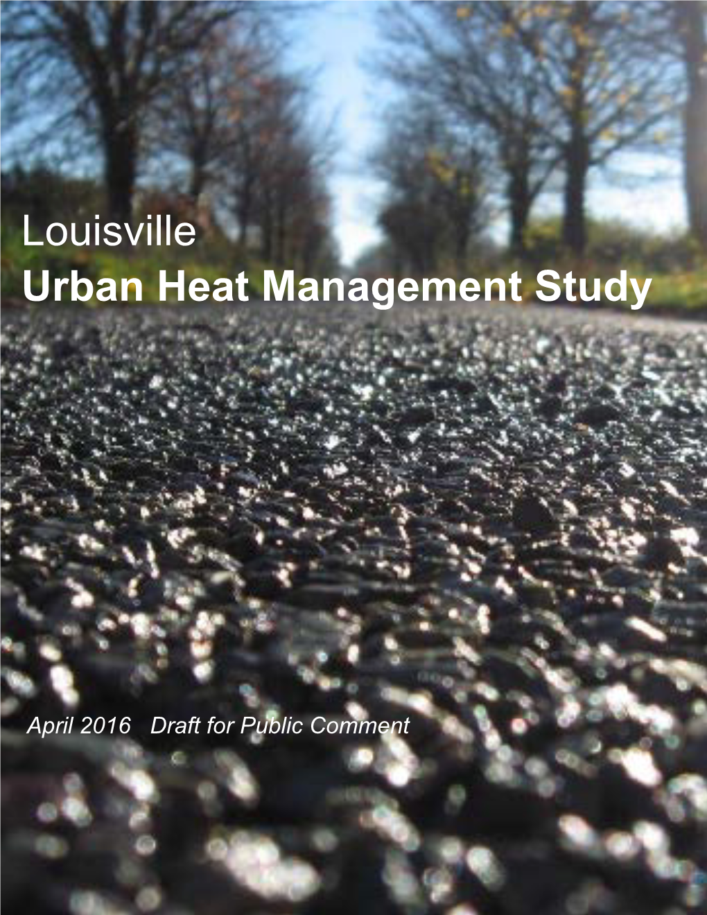 Louisville Urban Heat Management Study