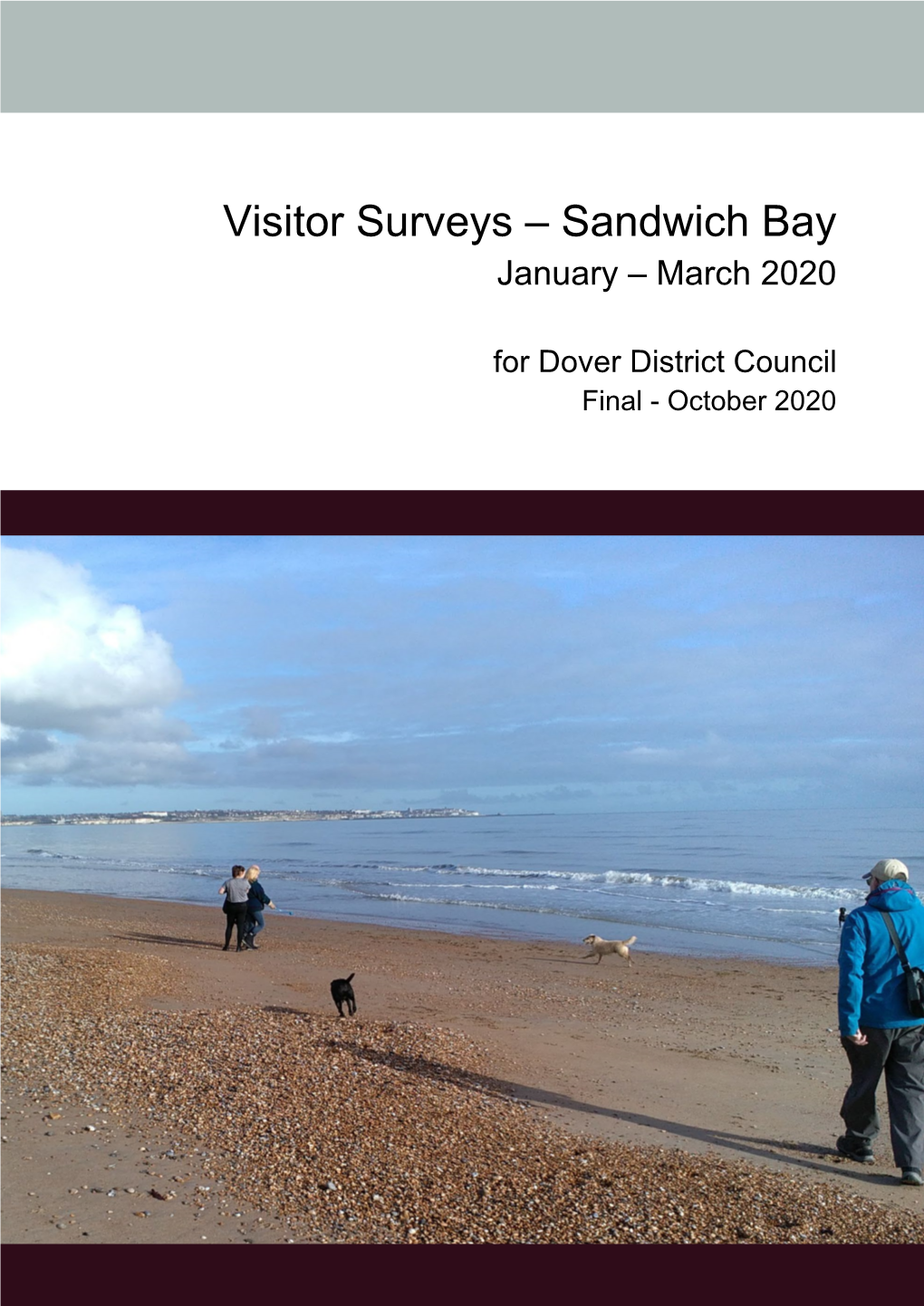Sandwich Bay Visitor Surveys January-March 2020