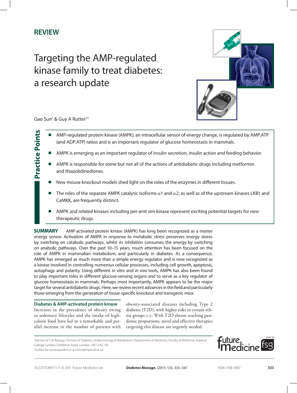 Targeting the AMP-Regulated Kinase Family to Treat Diabetes: a Research Update