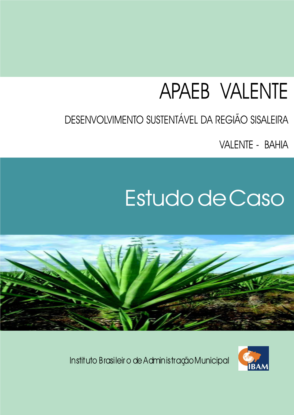 APAEB VALENTE Estudo De Caso