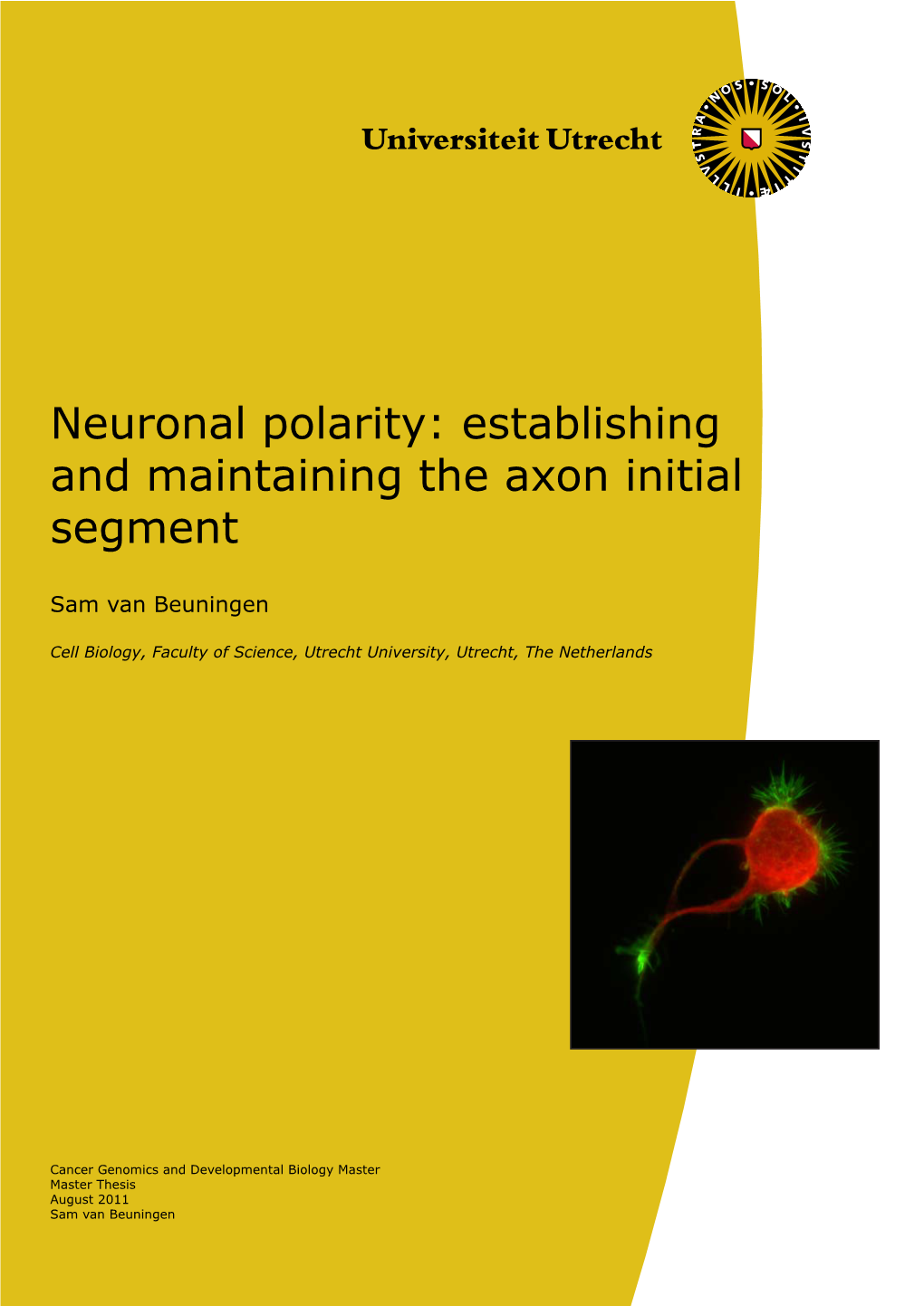 Neuronal Polarity: Establishing and Maintaining the Axon Initial Segment