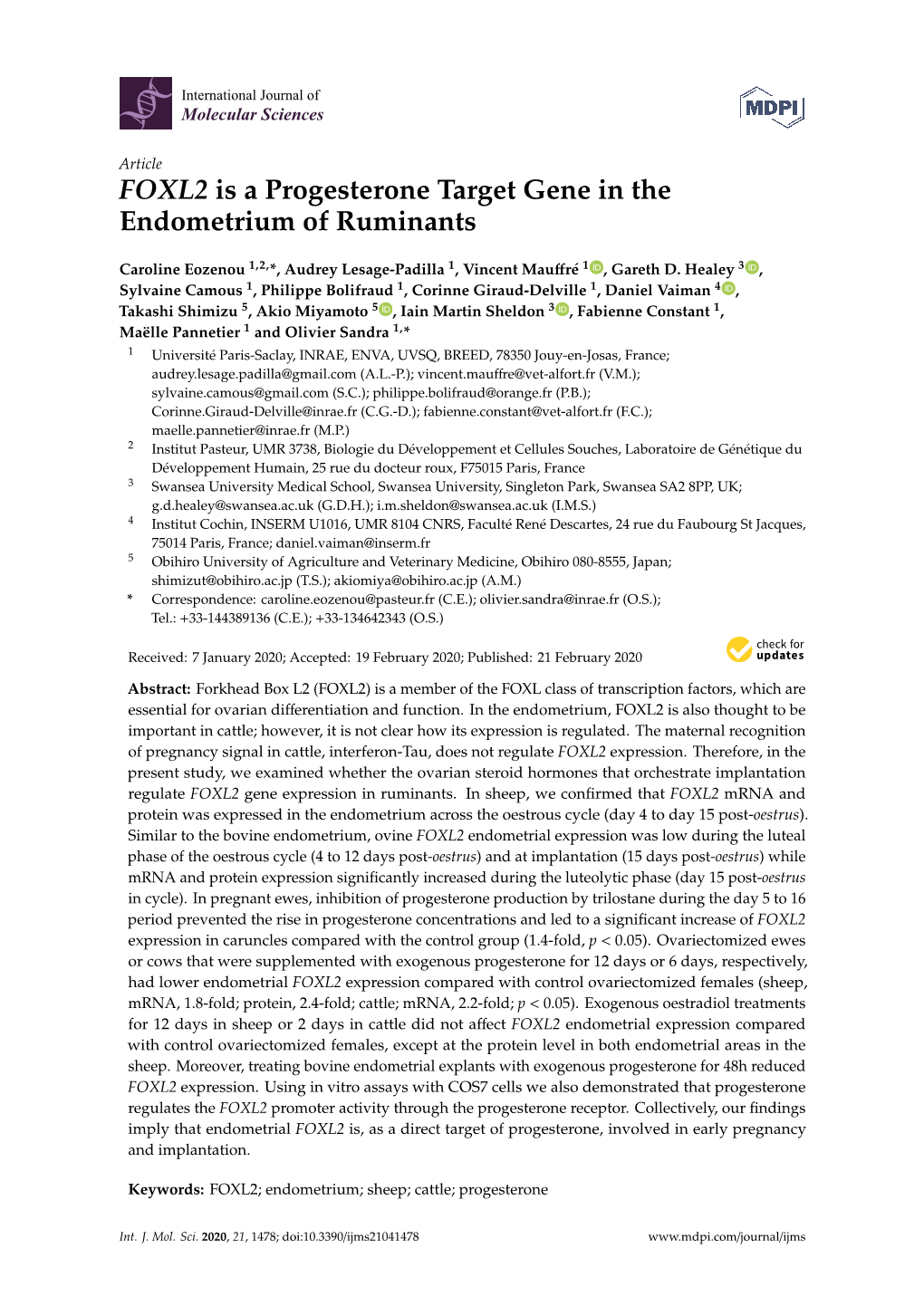 FOXL2 Is a Progesterone Target Gene in the Endometrium of Ruminants