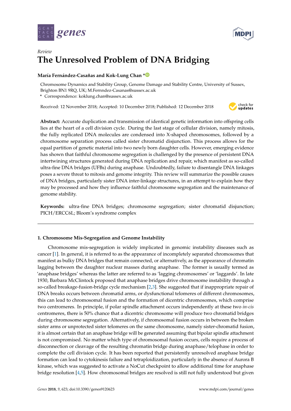 The Unresolved Problem of DNA Bridging