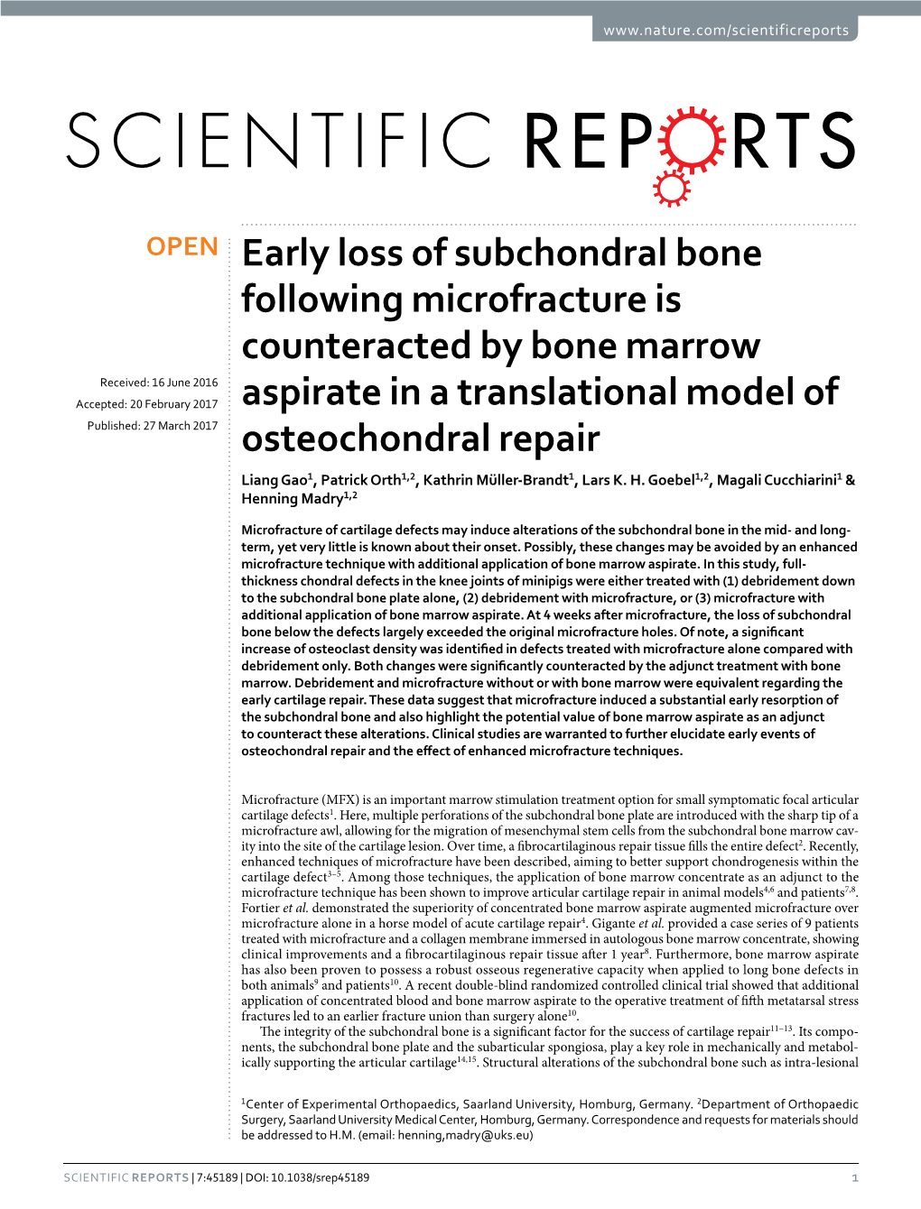 Early Loss of Subchondral Bone Following Microfracture Is Counteracted by Bone Marrow Aspirate in a Translational Model of Osteochondral Repair