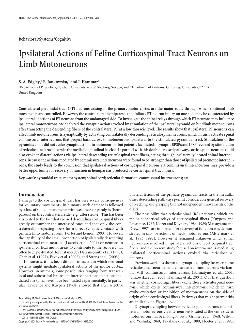 Ipsilateral Actions of Feline Corticospinal Tract Neurons on Limb Motoneurons