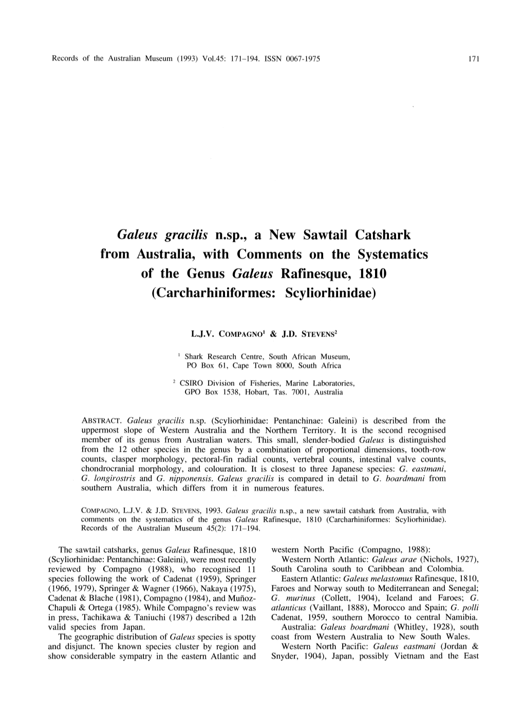 &lt;I&gt;Galeus Gracilis&lt;/I&gt; N.Sp., a New Sawtail Catshark from Australia, With