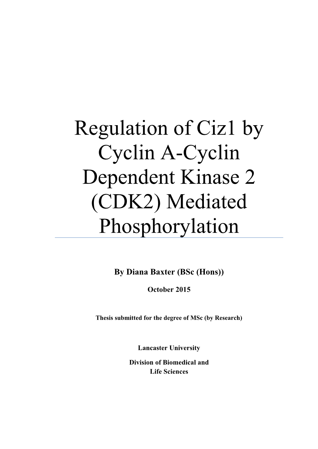 Ciz1 by Cyclin A-Cyclin Dependent Kinase 2 (CDK2) Mediated Phosphorylation