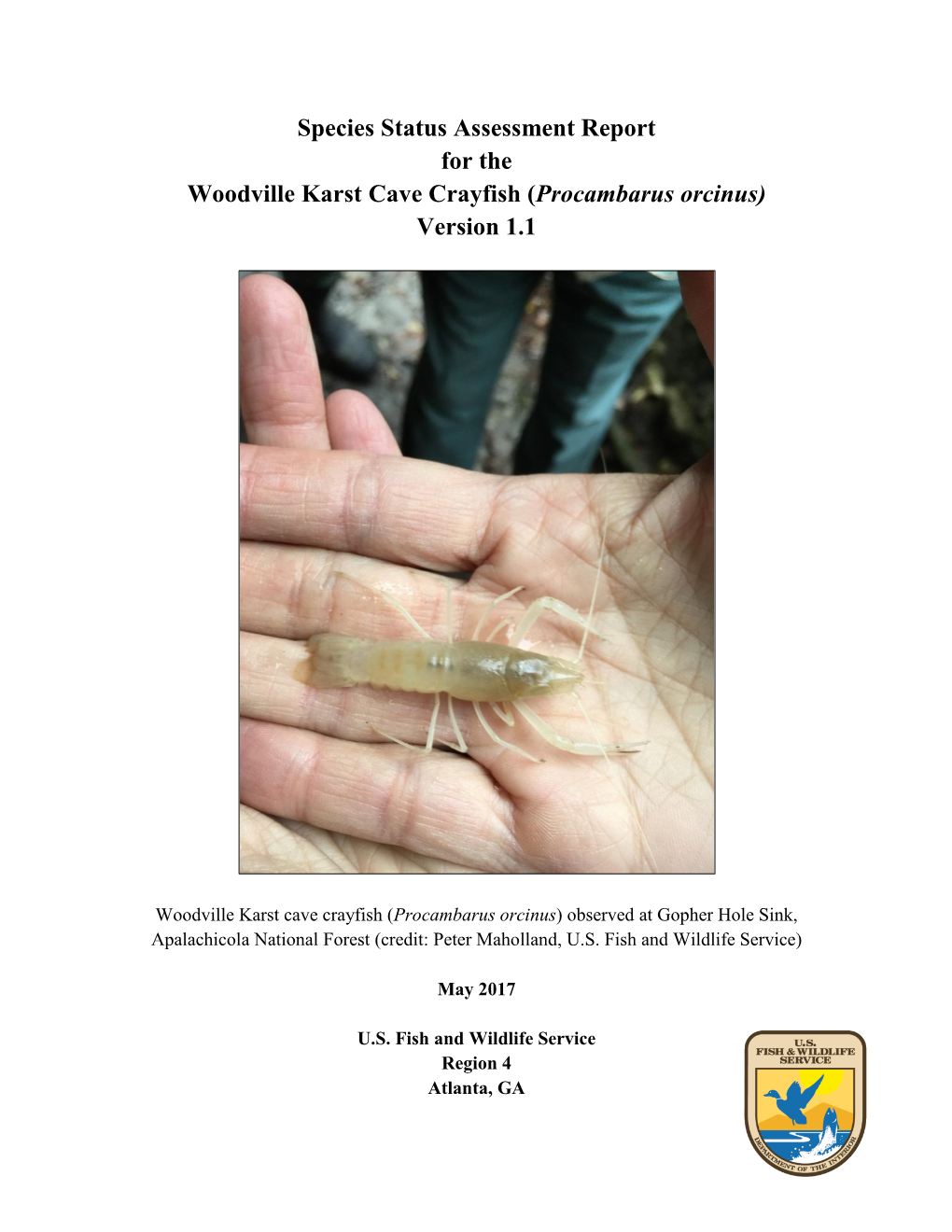 Species Status Assessment Report for the Woodville Karst Cave Crayfish (Procambarus Orcinus) Version 1.1