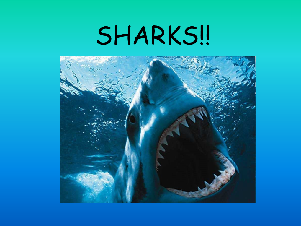 SHARKS!! What Is a Shark? • a Shark Is a Type of Fish