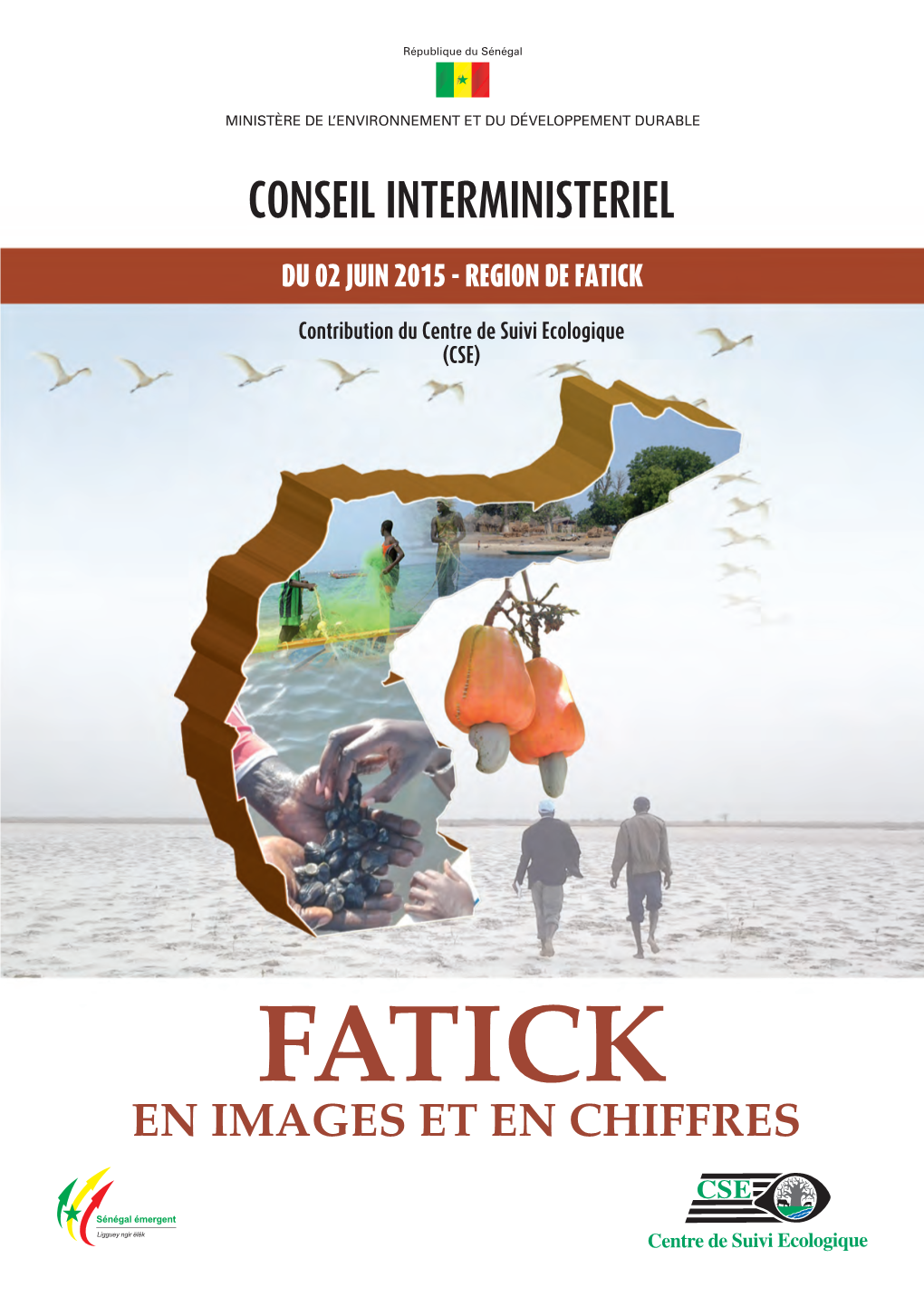 Contribution Du CSE Au Conseil Interministériel Région De Fatick