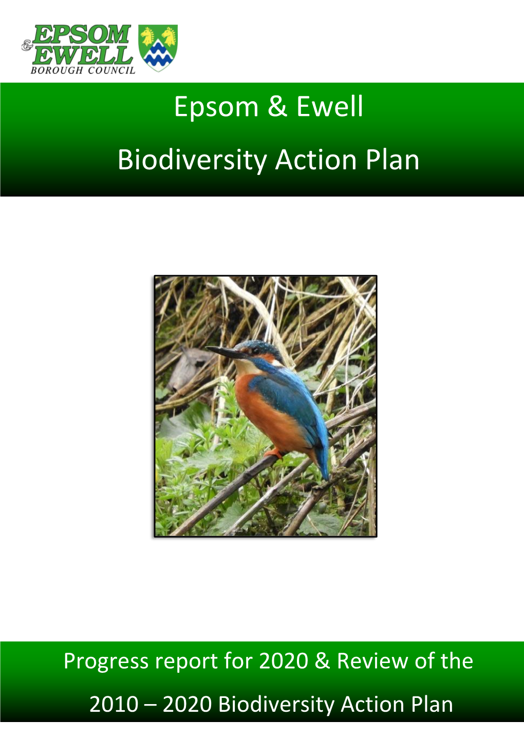 Epsom & Ewell Local Biodiversity Action Plan 2020 Progress Report and Review of the 2010 To
