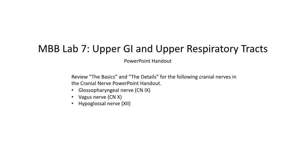 MBB Lab 7: Upper GI and Upper Respiratory Tracts Powerpoint Handout