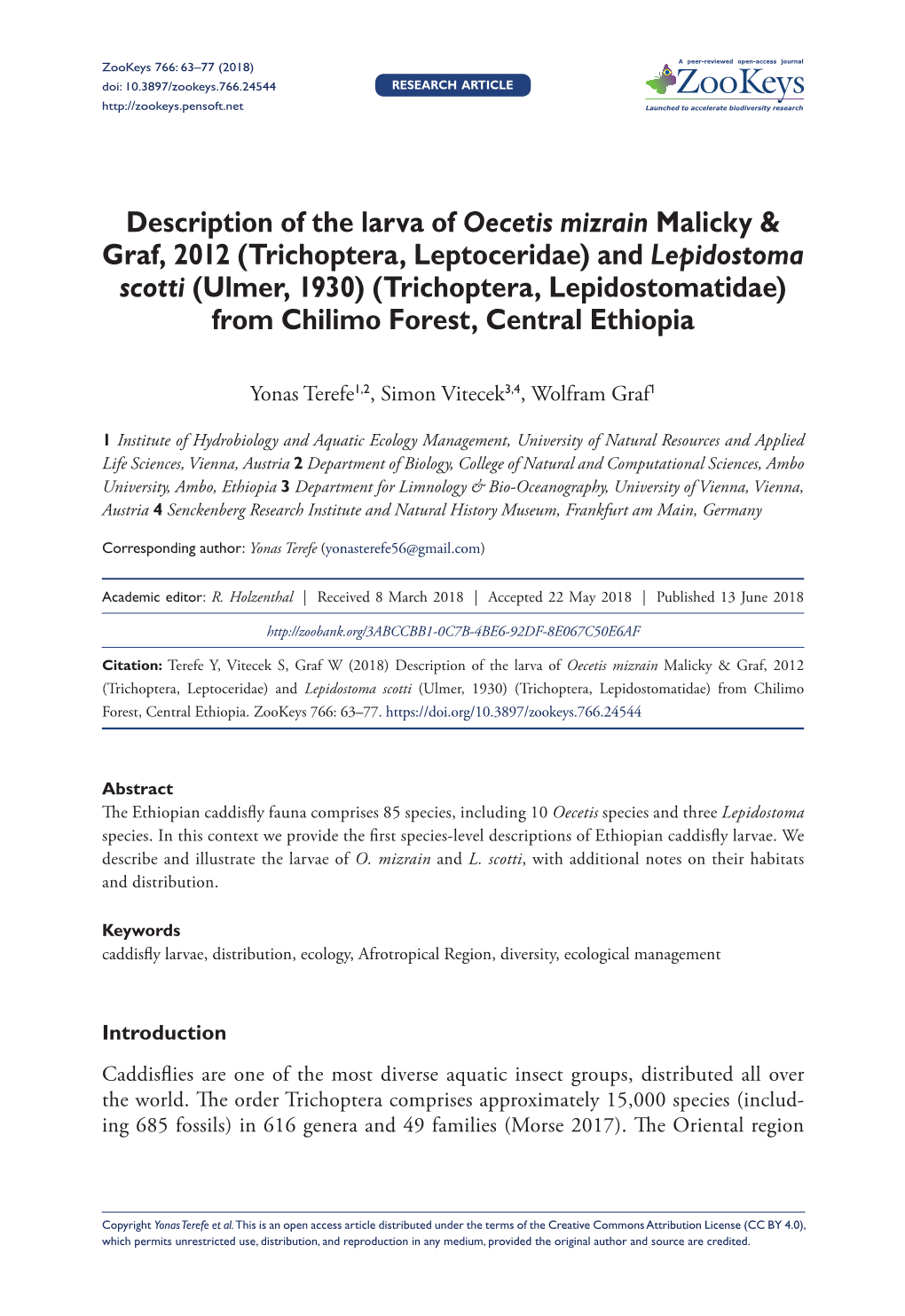 Description of the Larva of Oecetis Mizrain Malicky & Graf, 2012