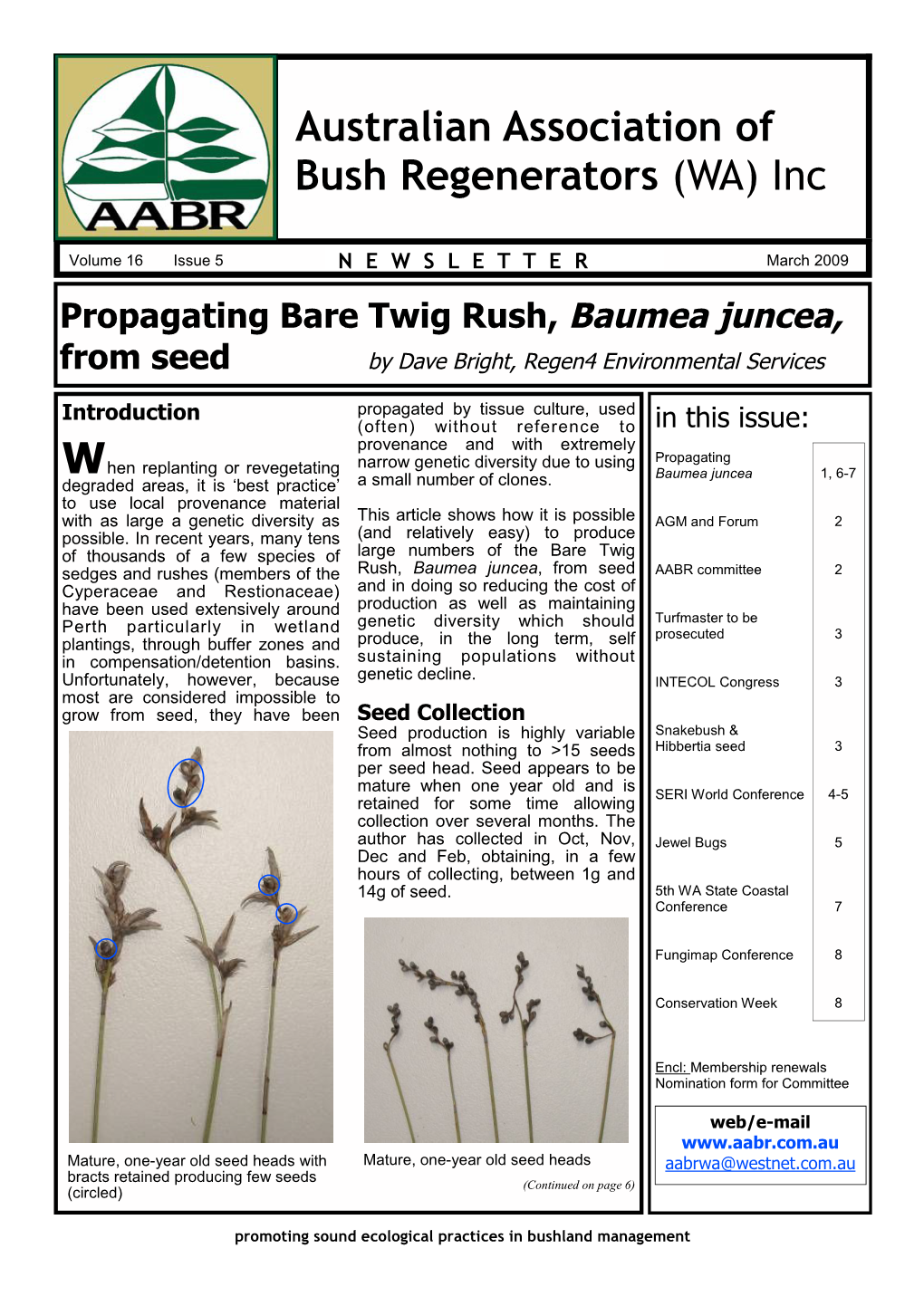 AABR Vol17 Issue 1 Mar 2009