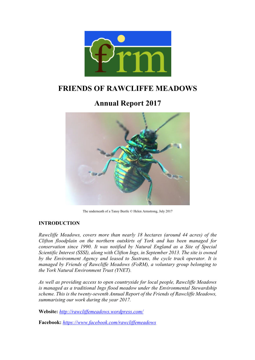 Form Annual Report 2017 Final