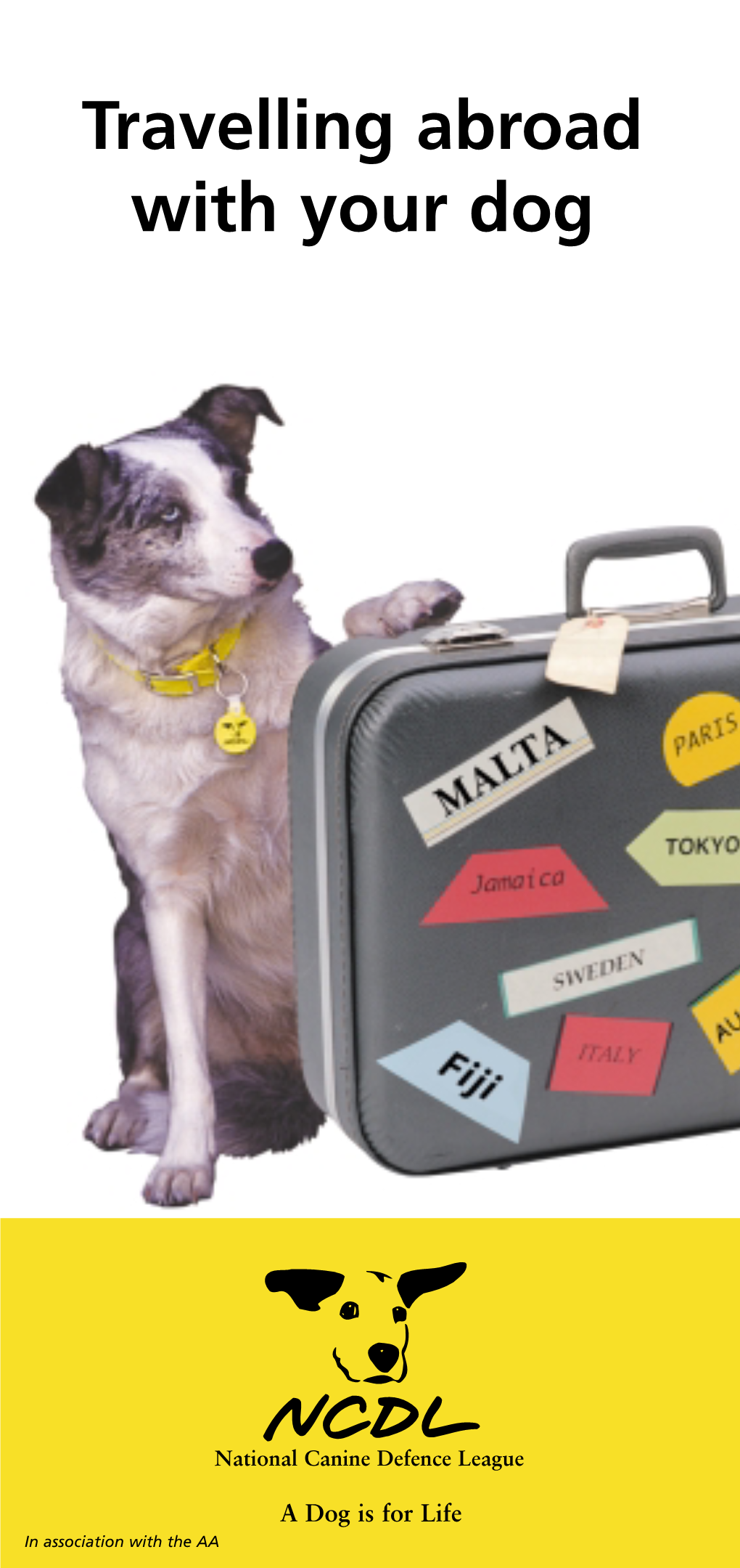 Travelling Abroad with Your Dog