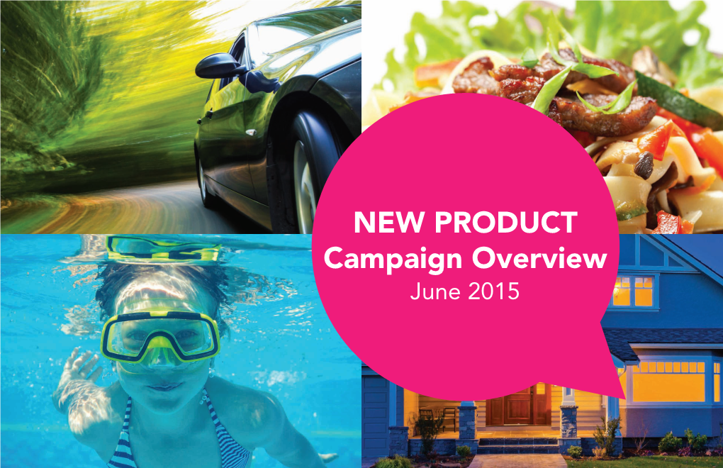 NEW PRODUCT Campaign Overview June 2015 TABLE of CONTENTS