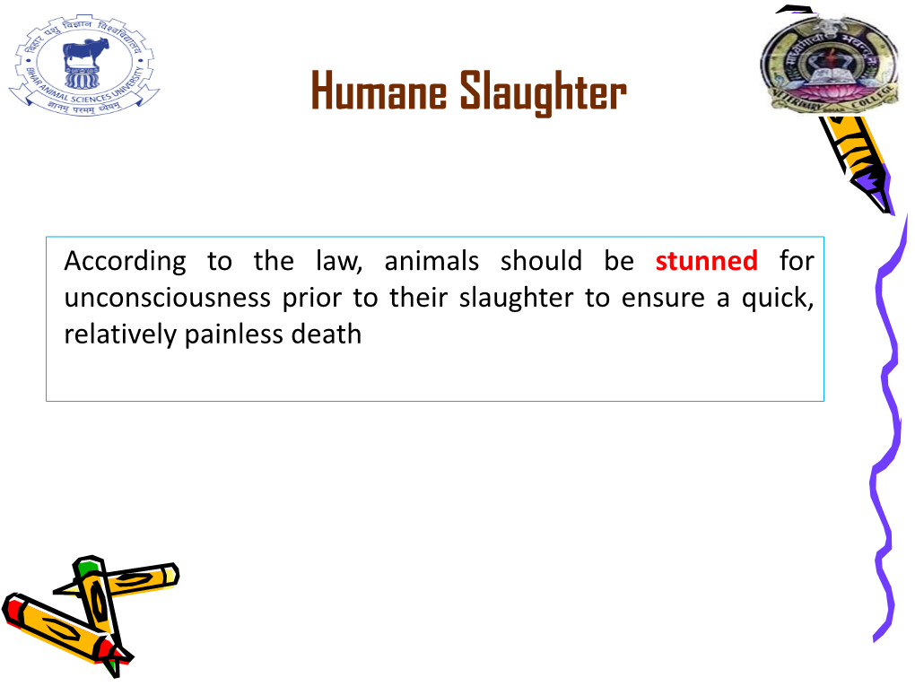 Humane Slaughter