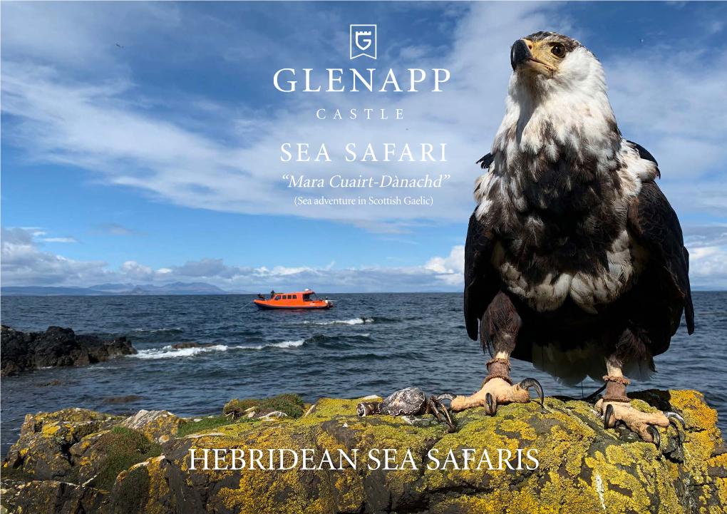 Hebridean Sea Safaris 1 Contents