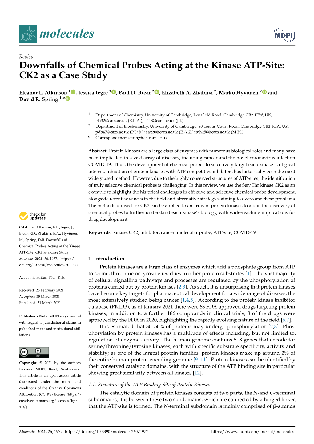 Downfalls of Chemical Probes Acting at the Kinase ATP-Site: CK2 As a Case Study