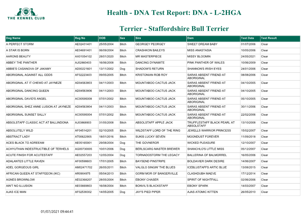 DNA Test Report: DNA - L-2HGA