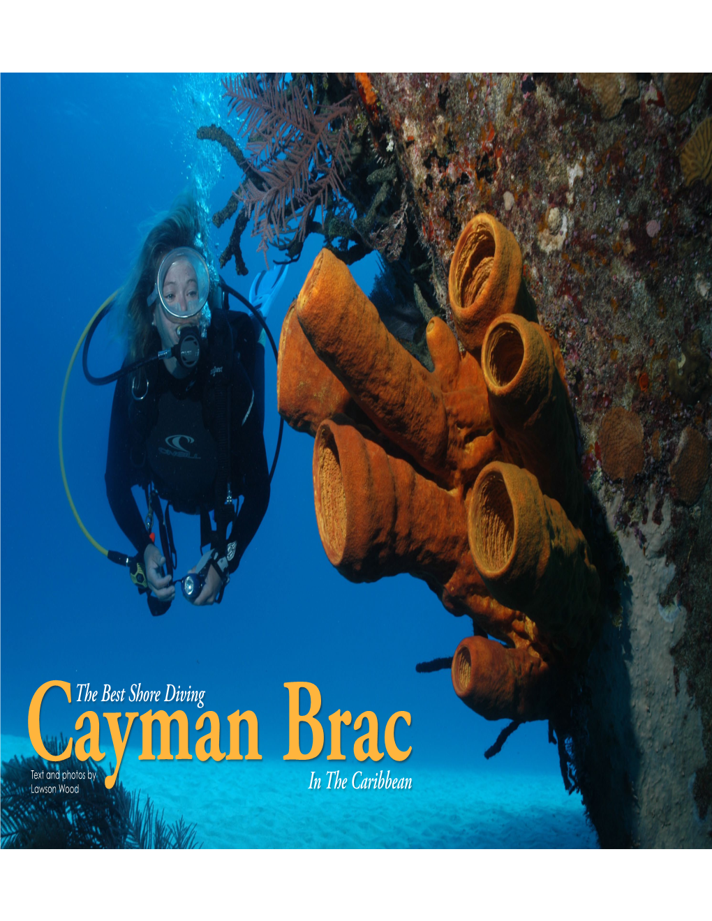 Best Shore Diving in the Caribbean, Cayman Brac!