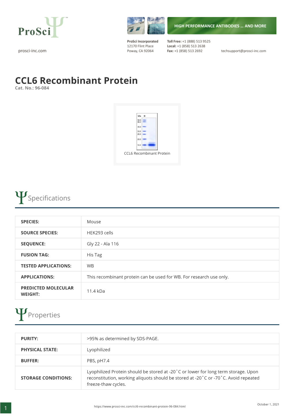 CCL6 Recombinant Protein Cat