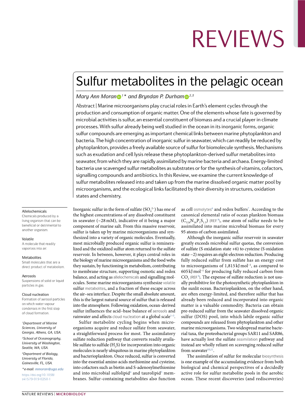 Sulfur Metabolites in the Pelagic Ocean