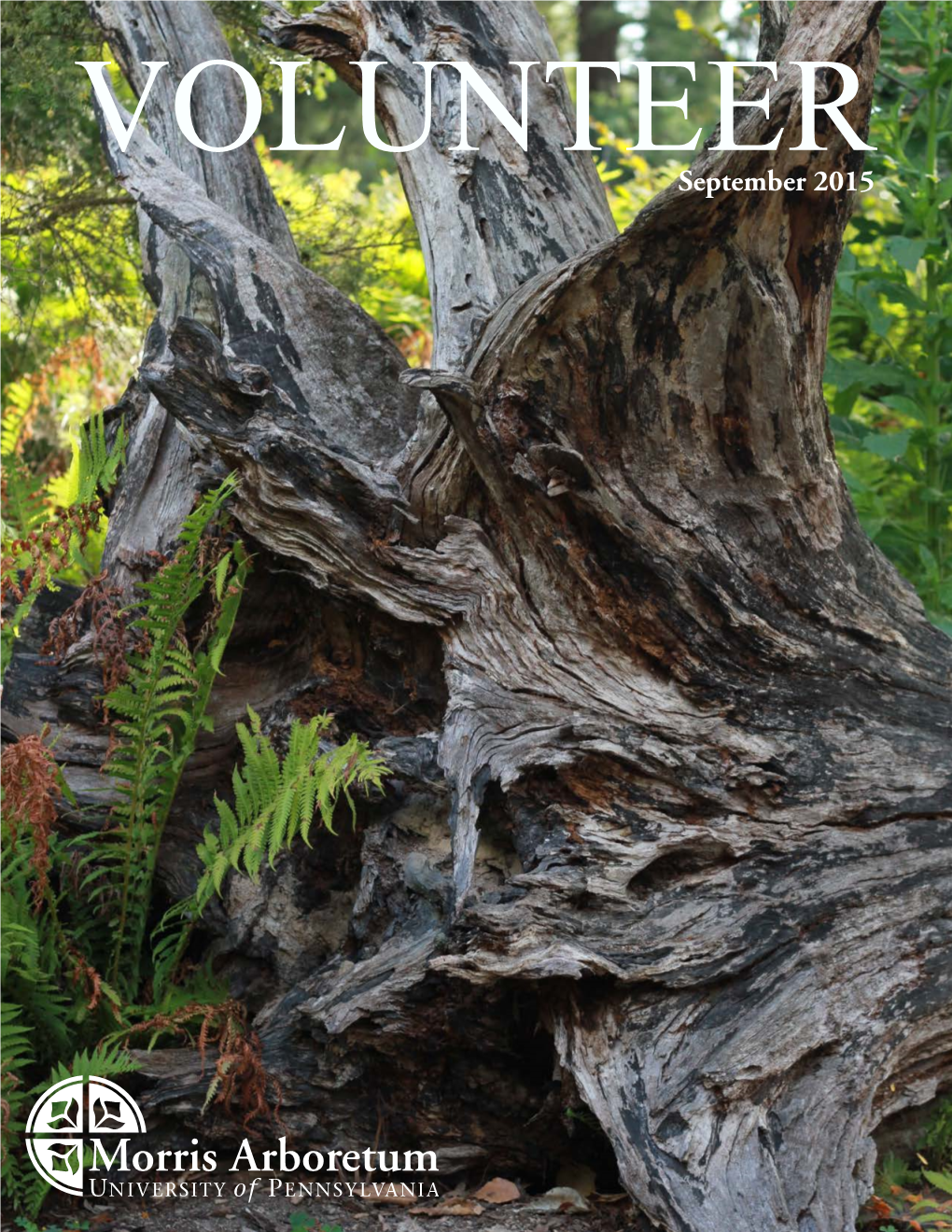September 2015 Volunteer Morris Arboretum of the University of Pennsylvania Volunteer Is a Newsletter Published Monthly for Arboretum Volunteers