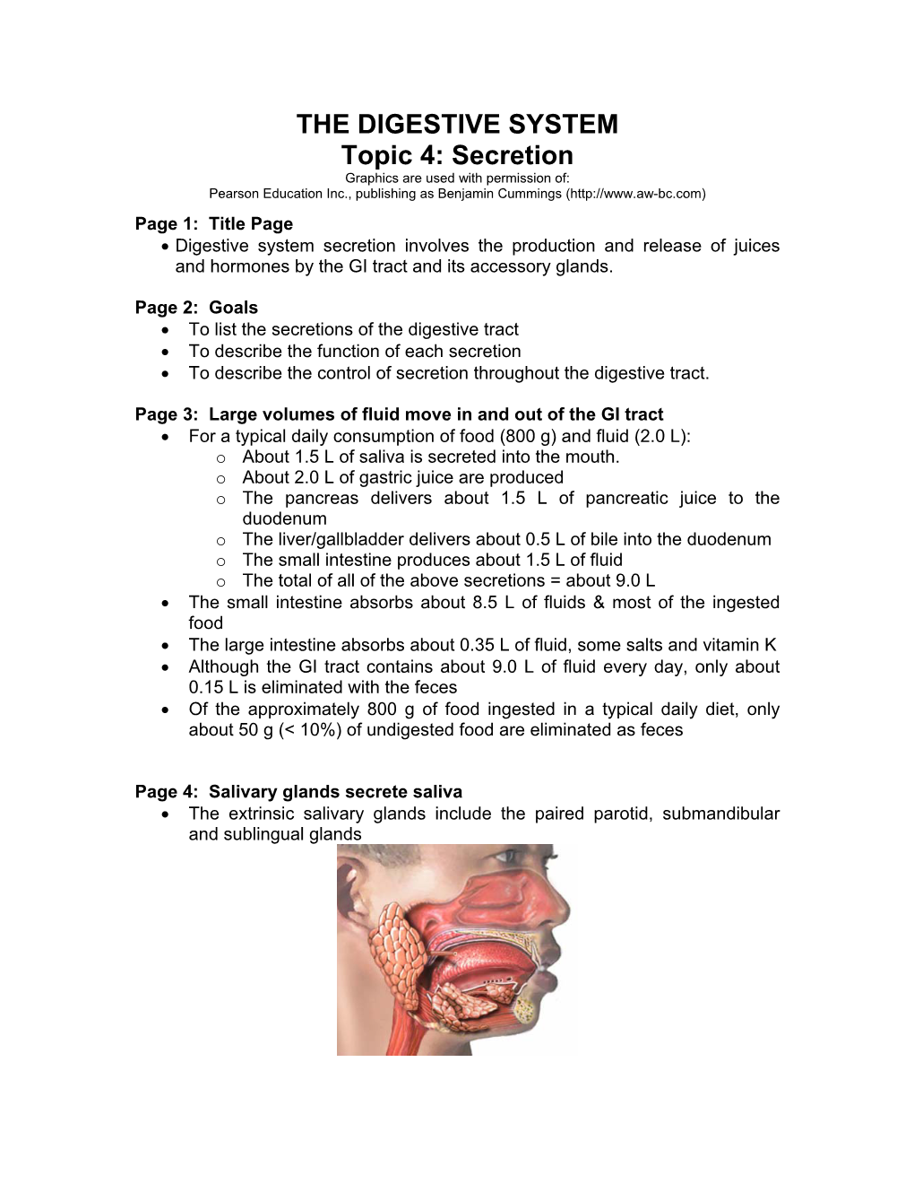 Anatomy Review: Digestive System