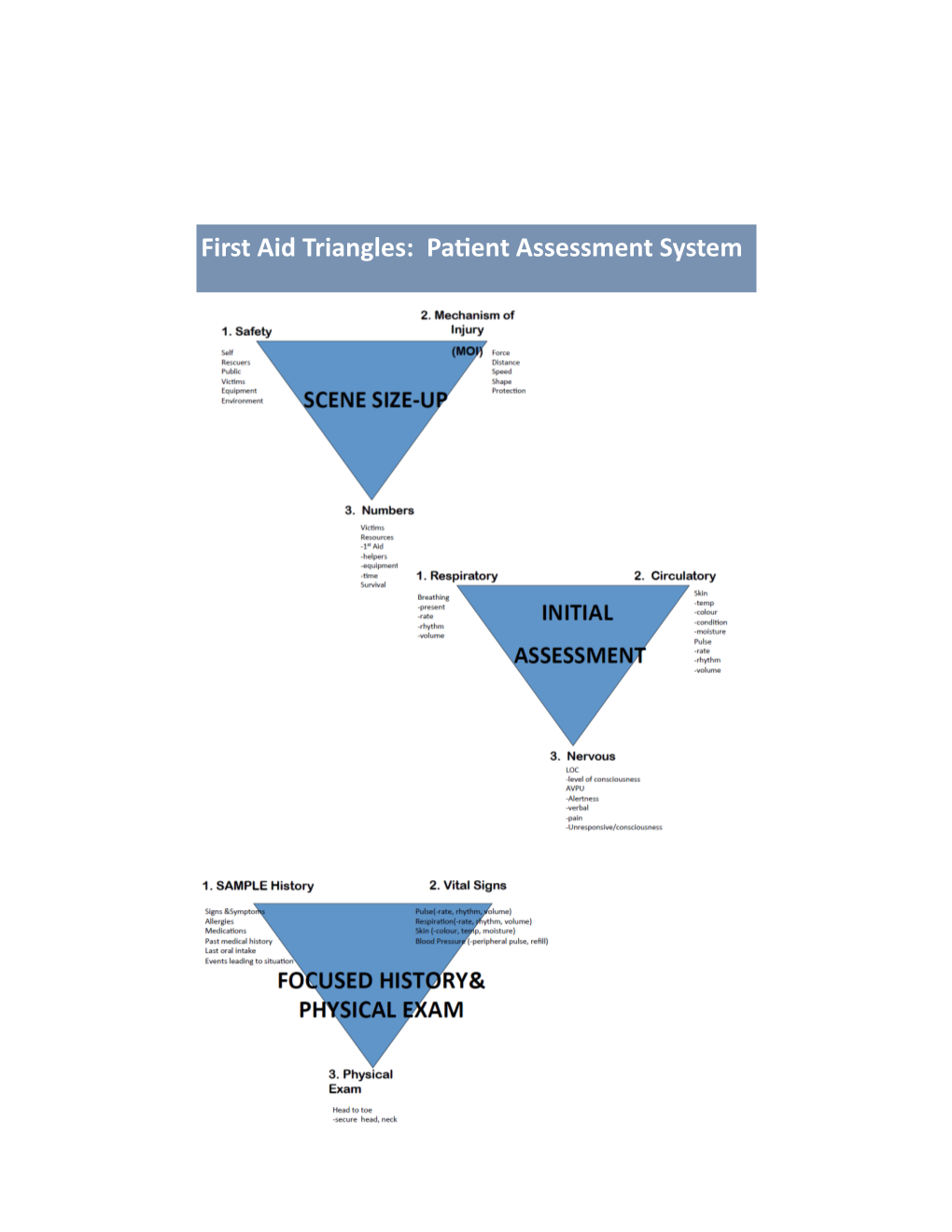 Patient Assessment System First Aid Instructions