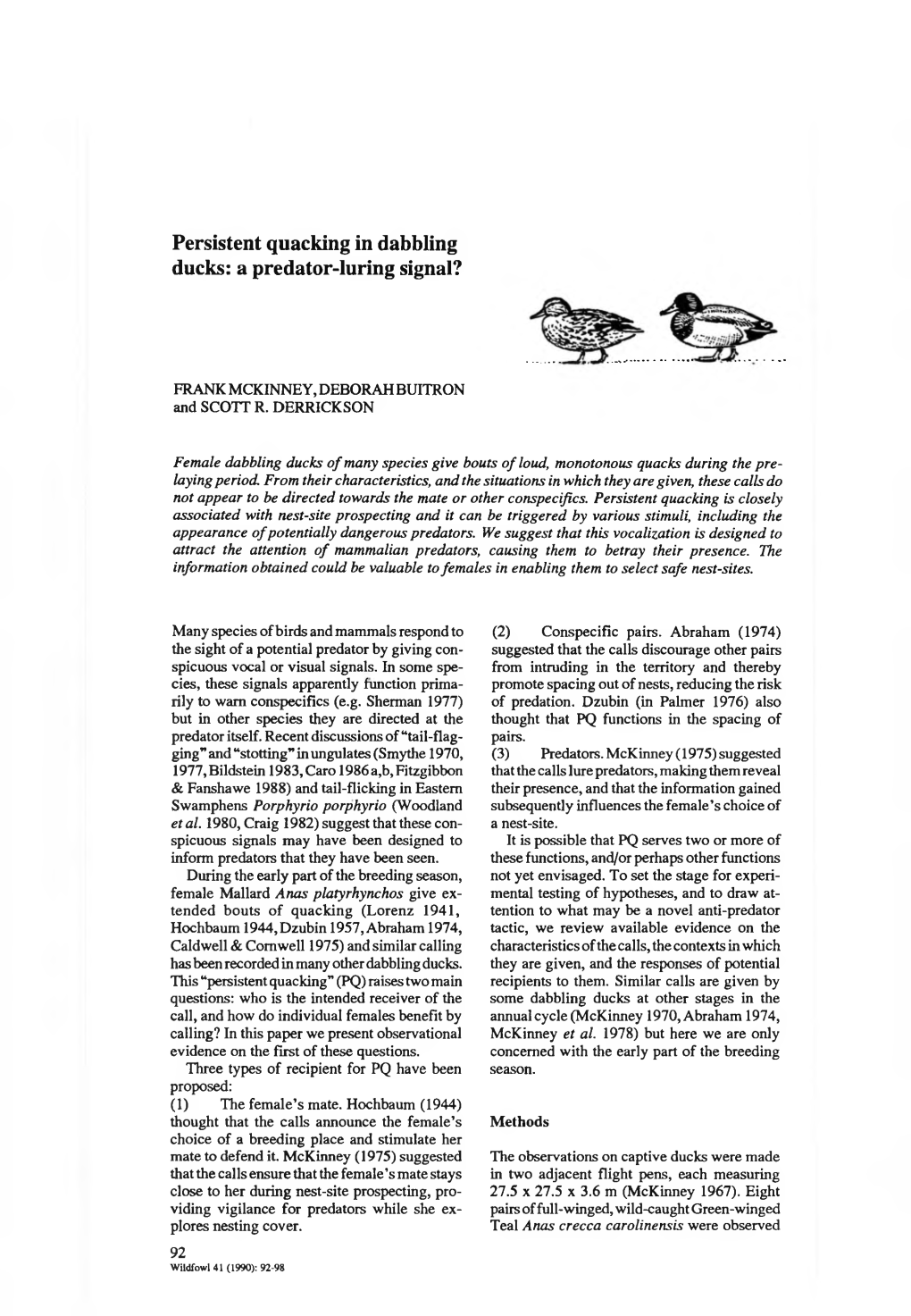 Persistent Quacking in Dabbling Ducks: a Predator-Luring Signal?