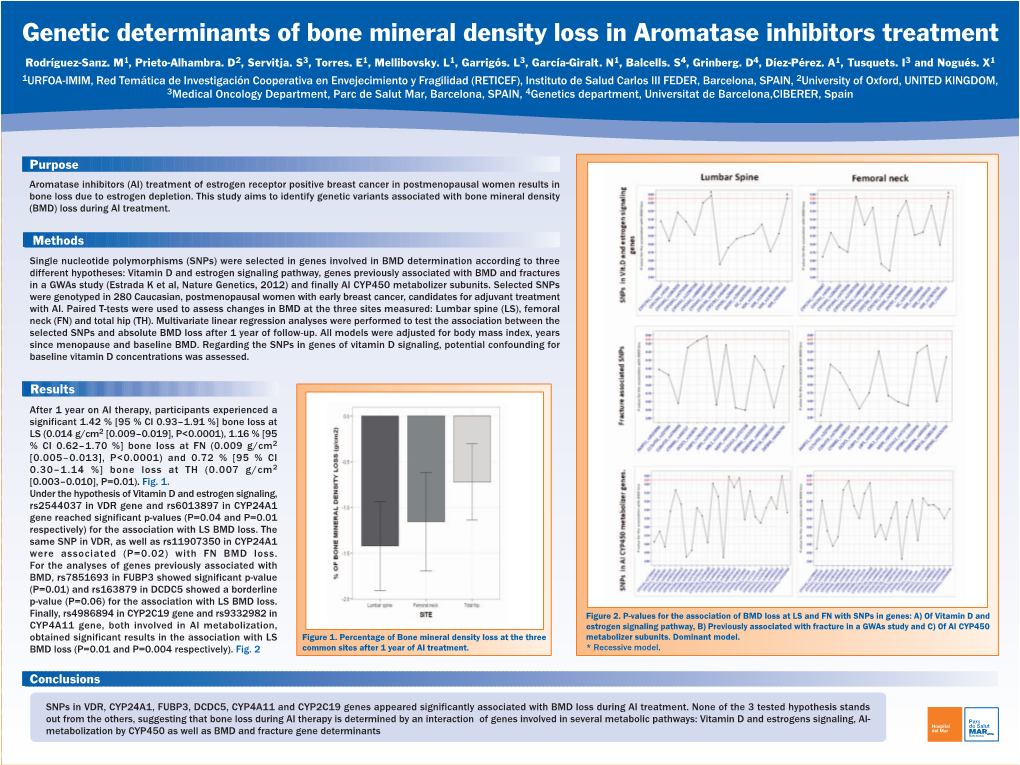 Genetic Determinants of Bone Mineral Density Loss in Aromatase Inhibitors Treatment