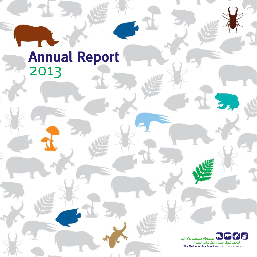 Annual Report 2013