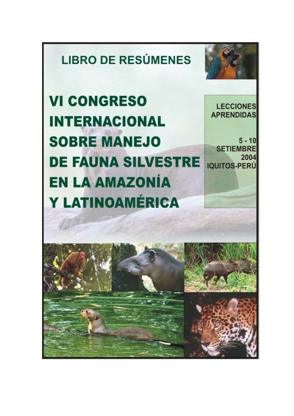 Vi Congreso Internacional