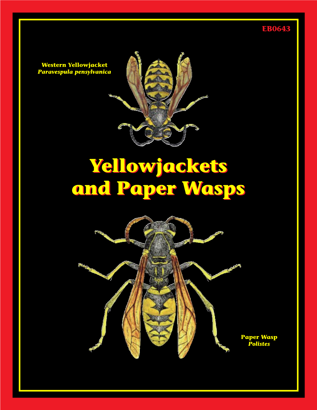 Yellowjackets and Paper Wasps Peter J