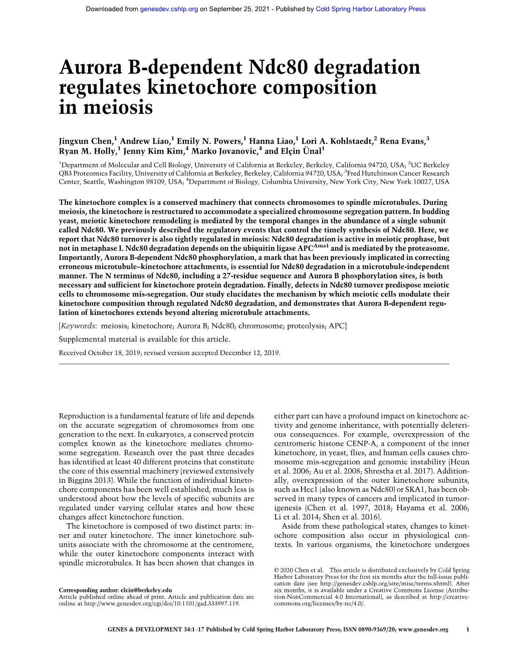 Aurora B-Dependent Ndc80 Degradation Regulates Kinetochore Composition in Meiosis