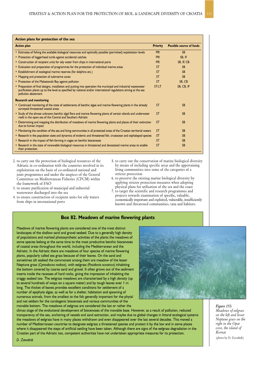 CBD Strategy and Action Plan