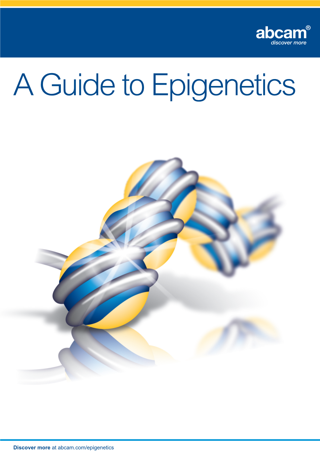 A Guide to Epigenetics