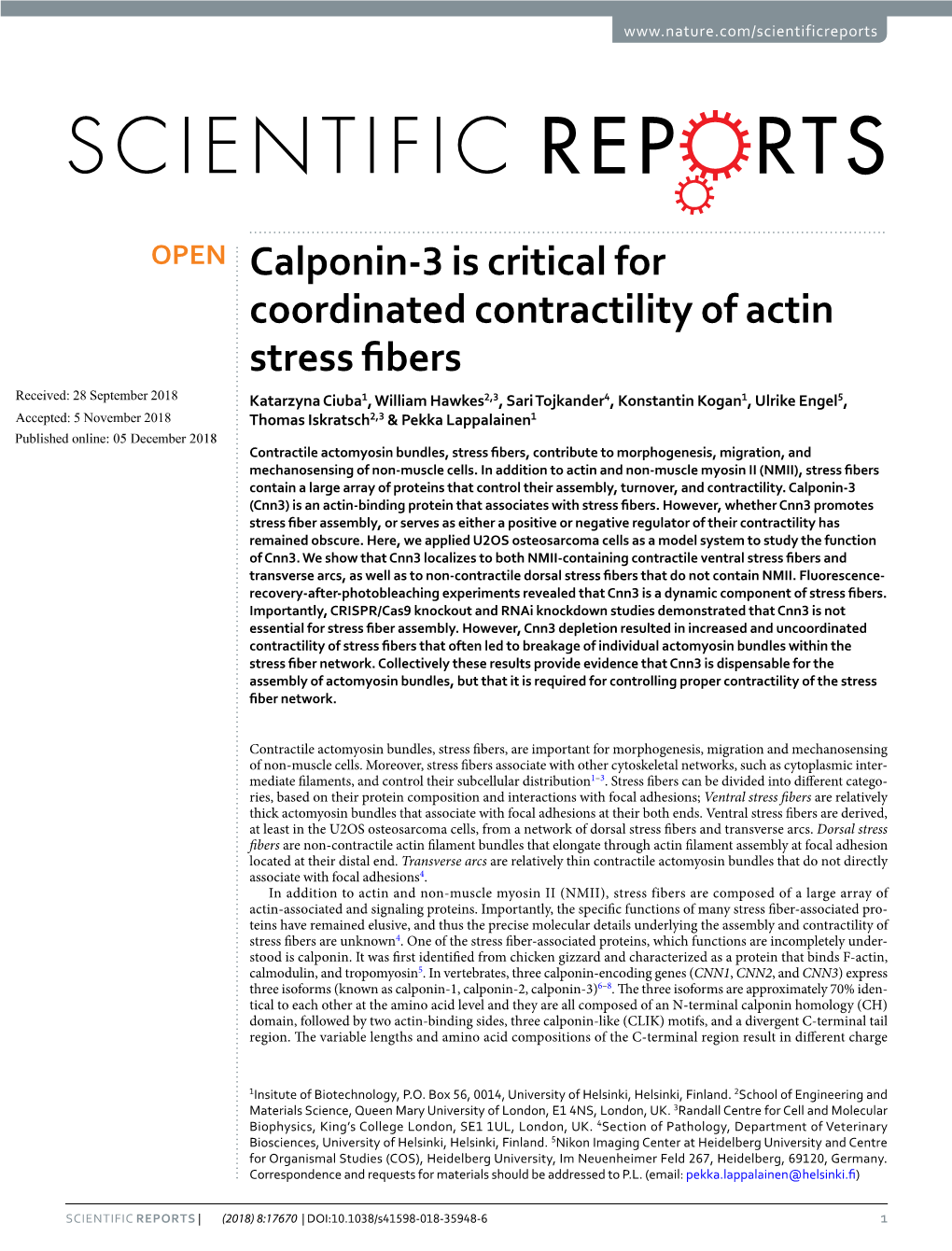 Calponin-3 Is Critical for Coordinated Contractility of Actin Stress Fibers