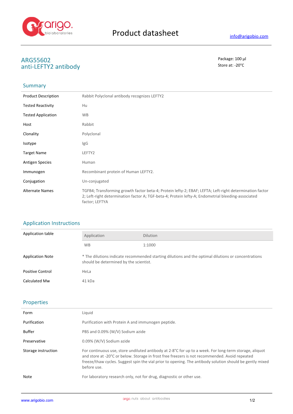 Anti-LEFTY2 Antibody (ARG55602)