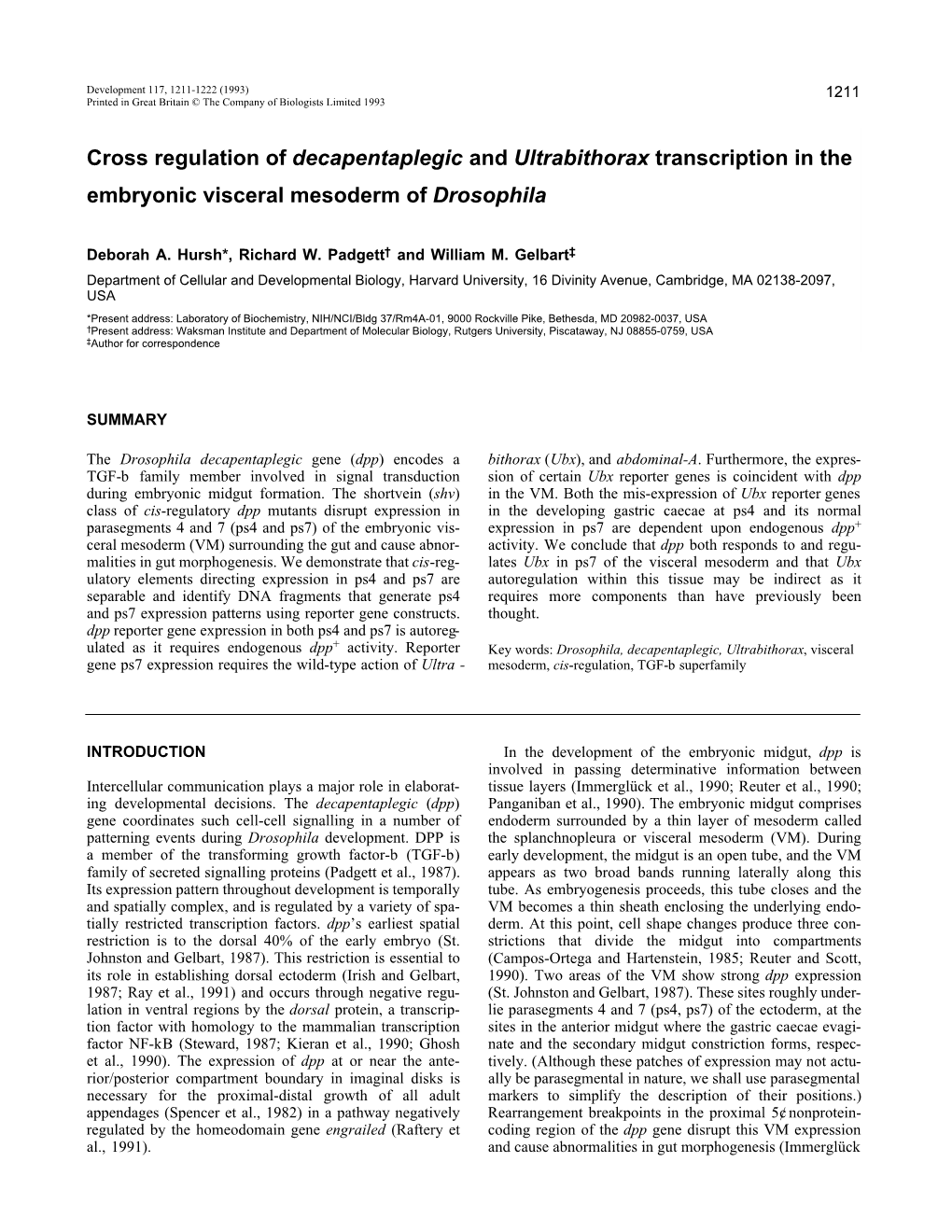 Cross Regulation of Decapentaplegic and Ultrabithorax Transcription in the Embryonic Visceral Mesoderm of Drosophila