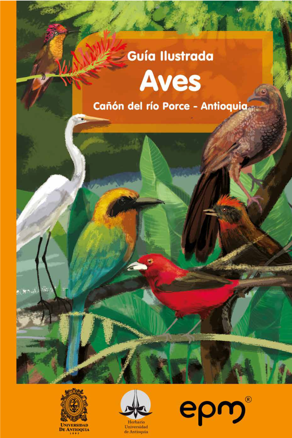 Guía Ilustrada Aves Cañón Del Río Porce, Antioquia Cítese El Libro Como: Peña R