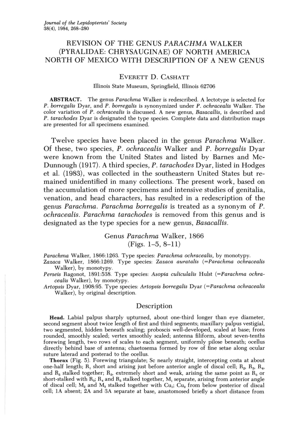 Revision of the Genus Parachma Walker (Pyralidae: Chrysauginae) of North America North of Mexico with Description of a New Genus