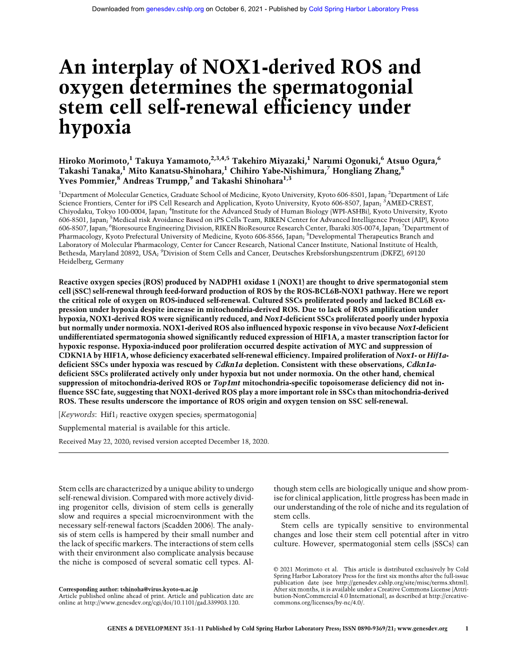 An Interplay of NOX1-Derived ROS and Oxygen Determines the Spermatogonial Stem Cell Self-Renewal Efficiency Under Hypoxia