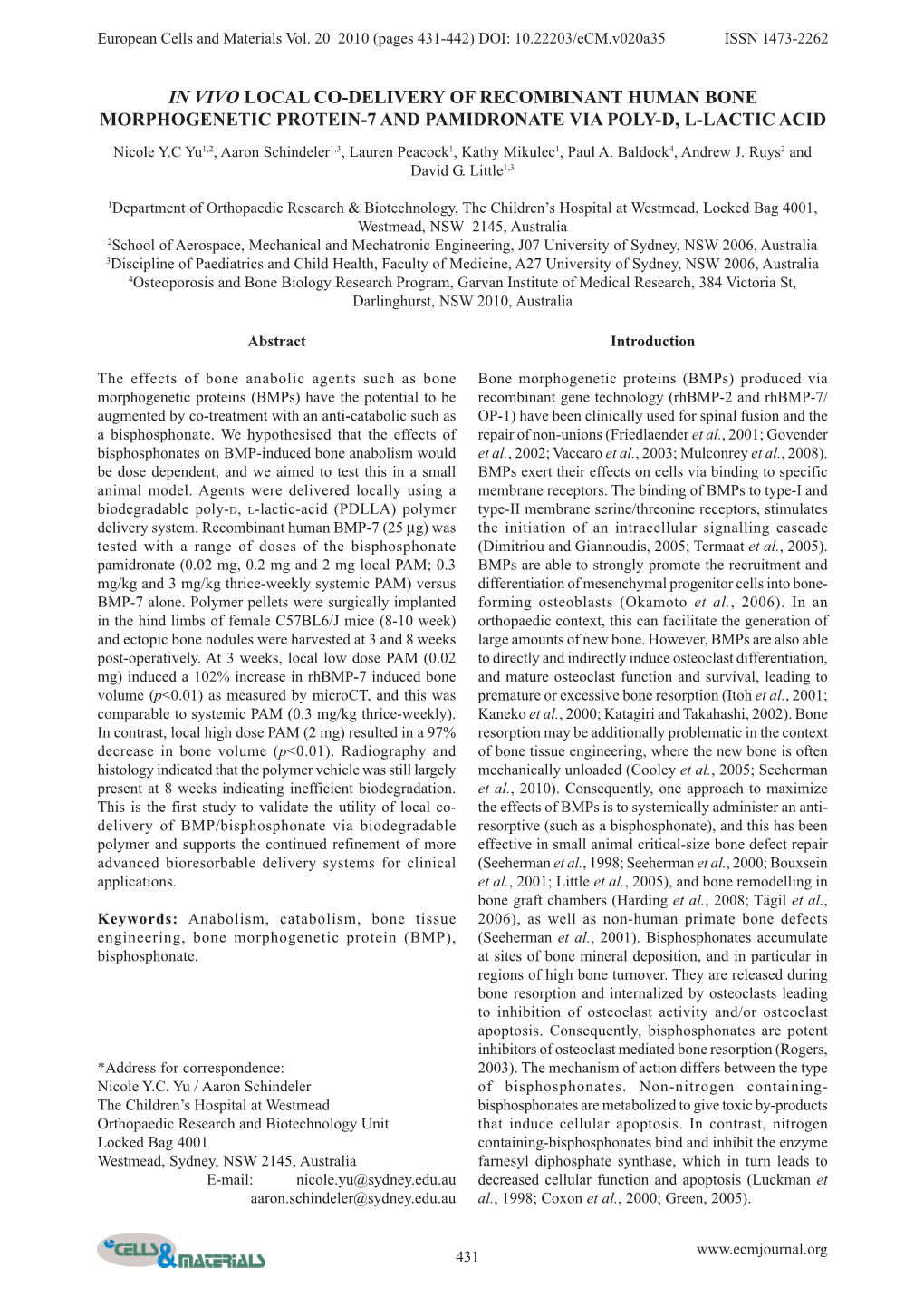 In Vivo Local Co-Delivery of Recombinant Human Bone Morphogenetic Protein-7 and Pamidronate Via Poly-D, L-Lactic Acid