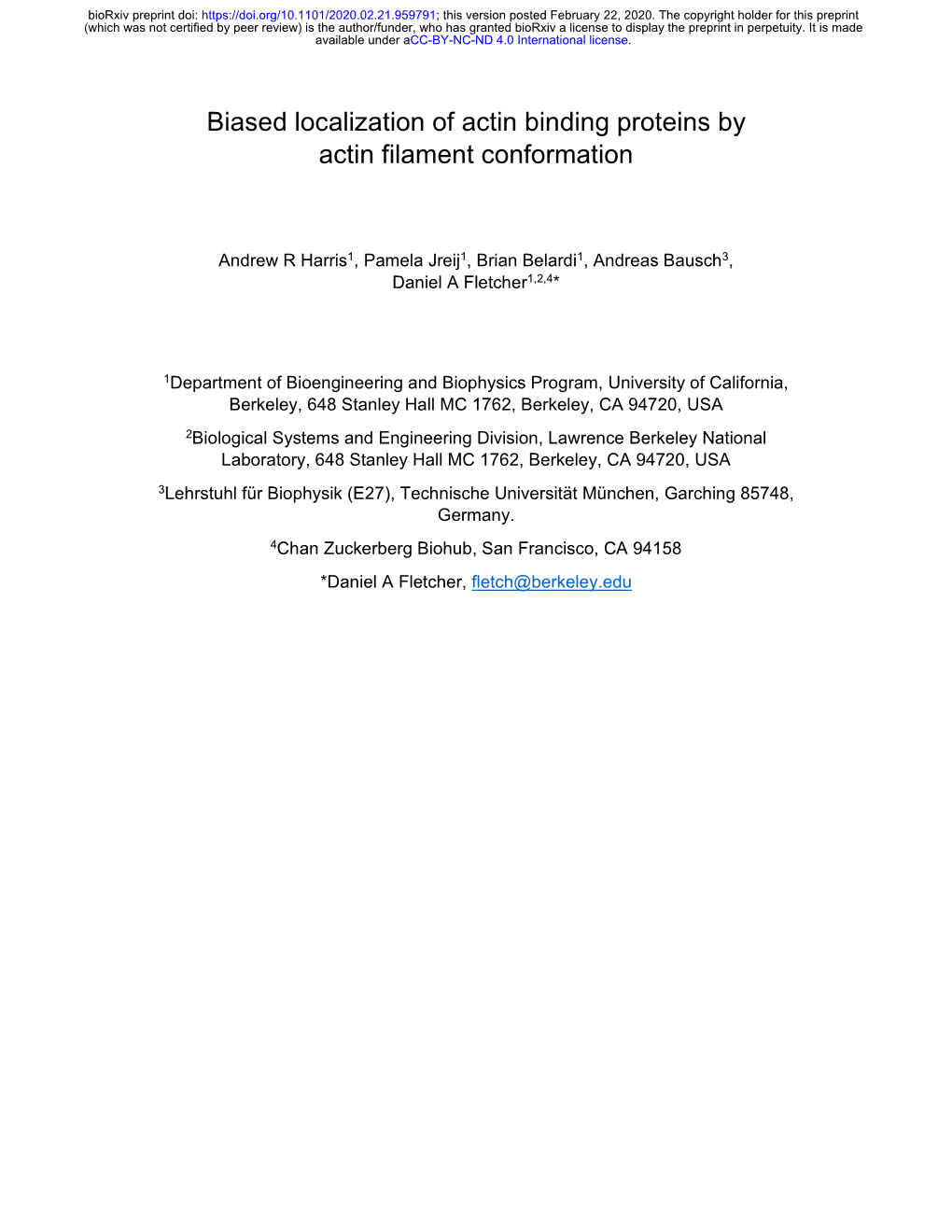 Biased Localization of Actin Binding Proteins by Actin Filament Conformation