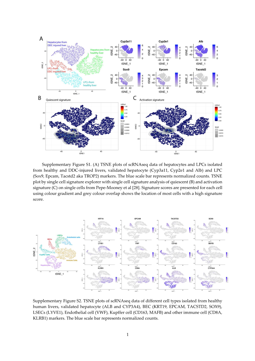 Type of the Paper (Article